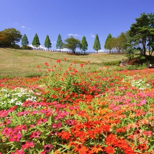 鞍ケ池公園
