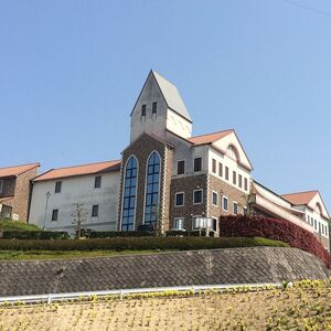 タオル美術館ICHIHIRO
