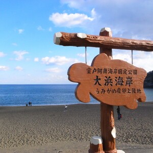 大浜海岸(徳島県)