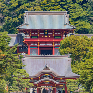 鶴岡八幡宮