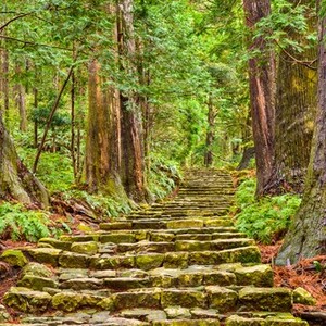 熊野古道