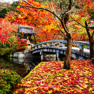 禅林寺・永観堂