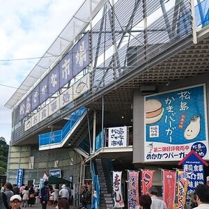 松島さかな市場