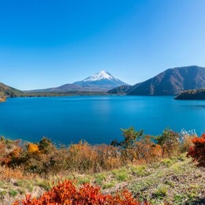 本栖湖