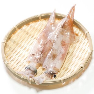 ヤリイカ(食べ物)
