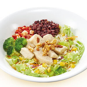 チキン・お食事サラダ