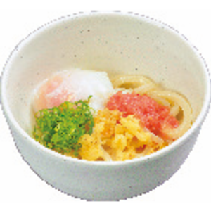 温玉明太うどん