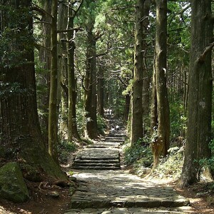 紀伊山地の霊場と参詣道