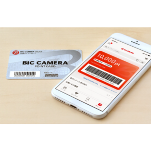 ビックポイント