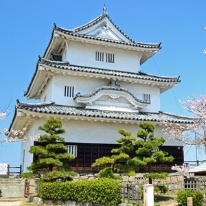 丸亀城