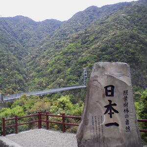 照葉大吊橋