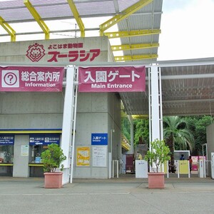 よこはま動物園ズーラシア