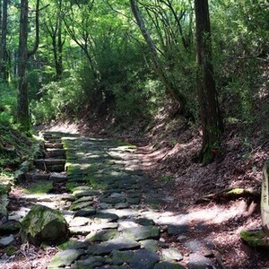 箱根旧街道石畳