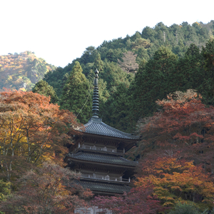 高源寺(兵庫県)