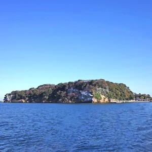 猿島