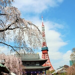 東京都