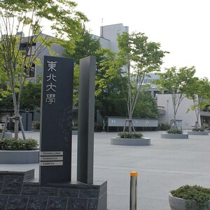 東北大学