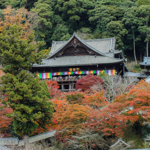 長谷寺(奈良県桜井市)
