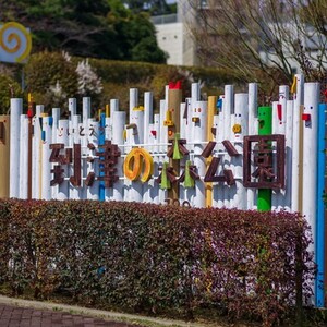到津の森公園
