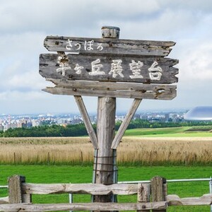 羊ヶ丘展望台