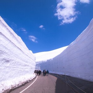 立山黒部アルペンルート(雪の大谷)