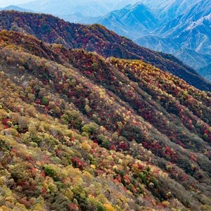 半月山