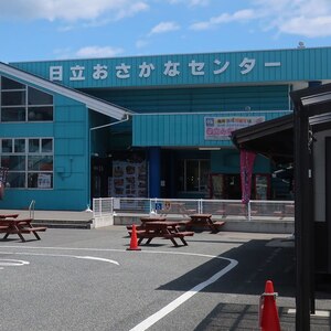 道の駅日立おさかなセンター