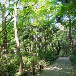 国立科学博物館附属自然教育園