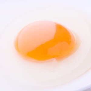 卵黄
