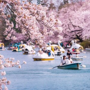 吉祥寺