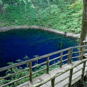 青池