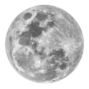 丸いものといえば 丸いものと聞いて思い浮かぶものランキング みんなのランキング