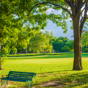 グリーンパーク（イギリス）