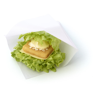 モスの菜摘（なつみ）フィッシュ