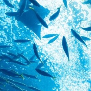 水族館