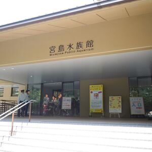 宮島水族館「みやじマリン」
