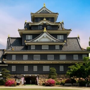 岡山城