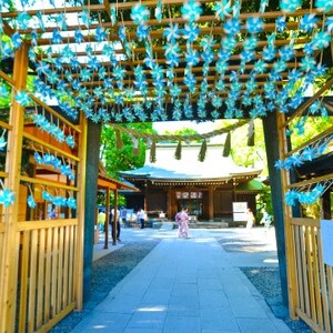 川越氷川神社