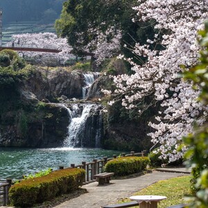 嬉野温泉