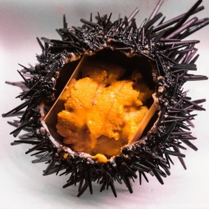 ゴリ男さんの 好きな食べ物ランキング みんなのランキング