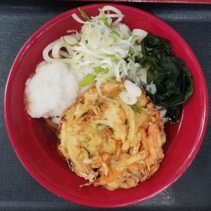 冷やしかきあげそば