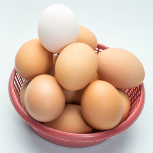 鶏卵