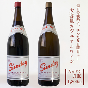 麻屋葡萄酒 サンデーワイン 赤