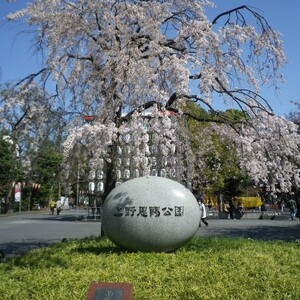 上野恩賜公園(上野公園)