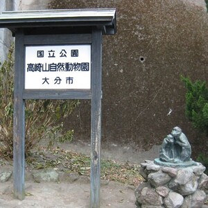 高崎山自然動物園