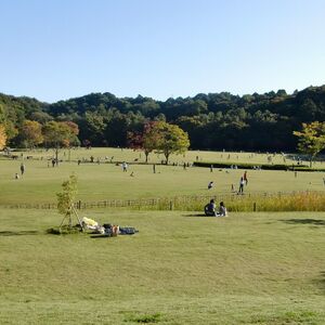 21世紀の森と広場