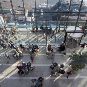 スカイガーデン(イギリス)