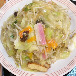 野菜たっぷり皿うどん