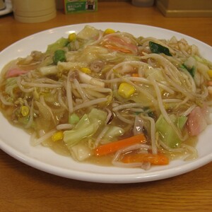太めん皿うどん