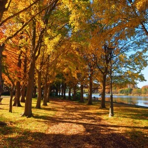 水元公園